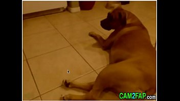 More Redhead Webcam Free Close-up Porn Video - redhead, webcam, webcams, redheads, close-ups - Video 5417298