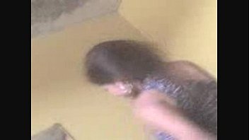 Germita De Lince, Se Vacila En Villa Salvaje