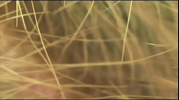 Kikiilimikilii - Vazeilles (official Music Video By Poussy Draama)