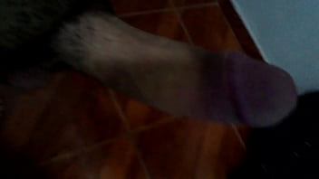 Meu Pau Punheta Close Cock Amateur Lassasa