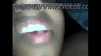 Pantera Do Cu Preto Da Bahia