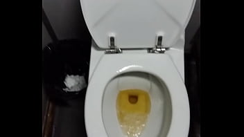 Mijada No Banheiro Da Barca Ii