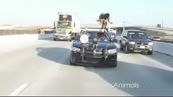 Mature, Ebony - Mature - 2025 - Intense - Show - Video 5373276