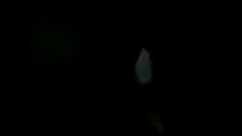 Unknown - 2025 - Intense - Show - Video 6491636