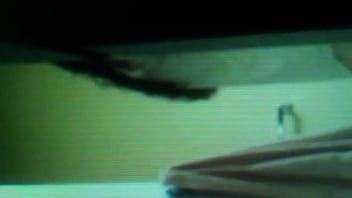 Spy, Cam, Hidden - Cam_porn - 2025 - Wild - Show - Video 5174743