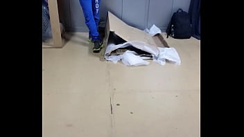 Paquete Bulge Latino