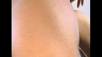 Wildlife - Yellow Tail - Scene 3