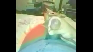 VID 25990523 061432