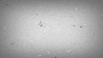 trim.D873BB8B-75E9-4CD8-A691-6FFB56447FA8