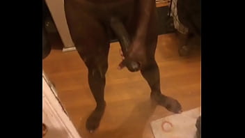 Black, Solo, Jerking, Bbc, Soloboy - Exotic - 2025 - Intense - Experience - Video 5118822