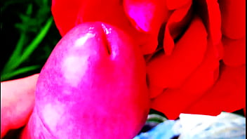 Red Rose - Outdoor, Dick, Masturbate, Close-up, Flower, Red, Rose, Nature, Precum, Mastrubation, Big-cock, Dick - Unknown - 2025 - Incredible - Performance - Video 5245881
