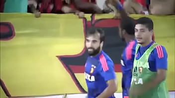 Caba_o Voando Em Recife