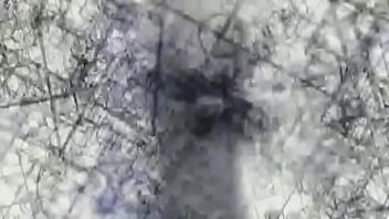 Steins_gate Opening 1