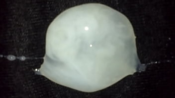 Cumshot On Sexy Pantiy