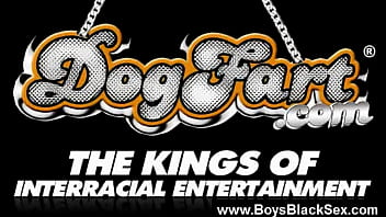 Black Boys Gay Porno Fucking 18 - anal, interracial, ass, blowjob, blackcock, oral, gay, gaysex, gayhardcore, gayfuck, blacksonboys - Video 6235483