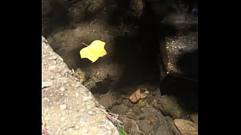 trim.C5E1DC3C-BA65-4CC7-9A7E-9B4B154E4ABC