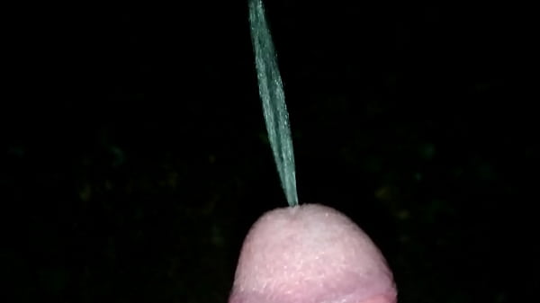 Pissing In The Woods By Night.