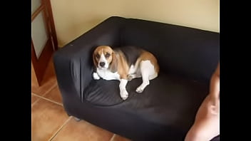 Solo Redhead Playing With Banana