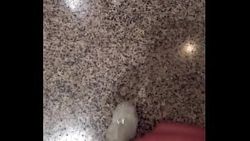 Gozando Gostoso Na Punheta - cumshot, cum, cock, closeup, masturbation, dick, close, gozada, porra, punheta, gozando, esperma, so - Video 5174223