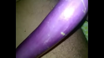 Shonu Brinjled Indian