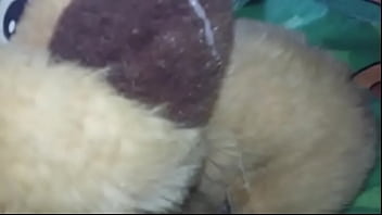 Cum, Stuffed, Soloboy, Plushie, Plush - Bukkake - 2025 - Wild - Experience - Video 5204118