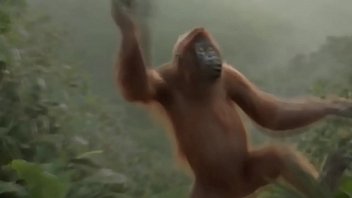 Hot, Solo - Solo_-_masturbation - 2025 - Passionate - Performance - Video 5116576