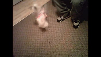 2012 - Unknown - 2025 - Incredible - Performance - Video 6466125