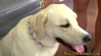 Busty Pornstar Facialized - cumshot, facial, hardcore, babe, pornstar, blowjob, handjob, brunette, real, bigtits, pornstars, tit - Video 5024405