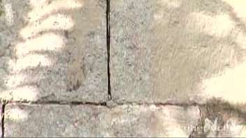 Breann Mcgregor - Boobs, Blonde, Babe, Girl, Busty, Solo, Nude, Cyber - Blonde - 2025 - Amazing - Scene - Video 6596285