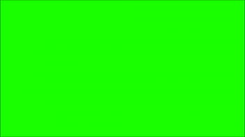 Greenscreen Test
