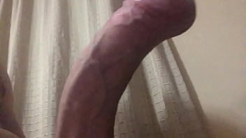 Tributo A Pepina - polla, tirbuto, pepinachilena, lecheparapepinachilena - Video 5136139