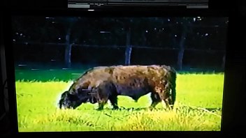 Who Is The Short-haired Blond? Or At Least The Name Of The Movie