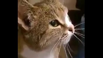 Teen, Blowjob, Skinny, Homemade, Young, Masturbation, Dirty, Party, College, Swingers, Vodka, Afters - Teen - 2025 - Steamy - Session - Video 5118051