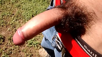 En El Patio Una Paja