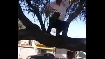 Rescatando El Balón