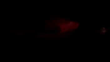 Fucking A Wet Bm Pussy