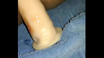 Safado De Imperatriz Se Masturbando Com Borrachudo No Cu