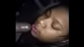 Stacy Succkin Duck In Cars Again