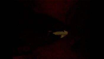 Grande, Rola, Pau, Soloboy, Grossa - Unknown - 2025 - Wild - Experience - Video 5076498