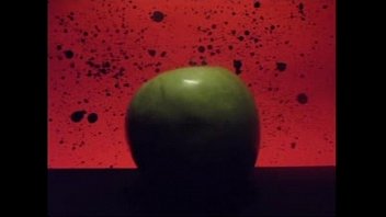 Gay, Motion, Art, Stop - Gay - 2025 - Wild - Scene - Video 5052643