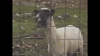 Anal, Accidente - Anal - 2025 - Steamy - Scene - Video 5017105