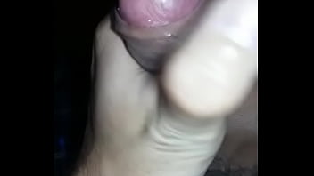 Gui, Ursinho Babão Do Alto De Pinheiros Sp