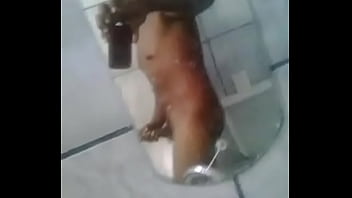 Gostosao De Redenção Elione Rocha