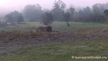 Thraldom Porn Stories - Video 5036874