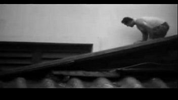 Desejo, Arte, Pedreiro - Unknown - 2025 - Incredible - Show - Video 5019758