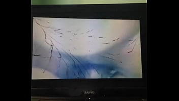 trim.B33A0C5E-DCF6-4D7B-9879-8472635A3E31