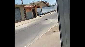 Levando A Piroca Pra Dar Uma Volta No Portão