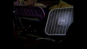 Monster, Head - Unknown - 2025 - Passionate - Performance - Video 4975140