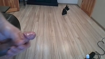 Cummister Higo Fap Fap 14