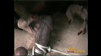 Hung Stallion Enjoys Having His Cock Pleasured In Numerous Kinky Ways